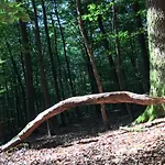 Gittas Paradiesperle Daire Niederdreisbach