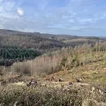 Gittas Paradiesperle Daire Niederdreisbach
