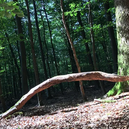 Gittas Paradiesperle Lägenhet Niederdreisbach