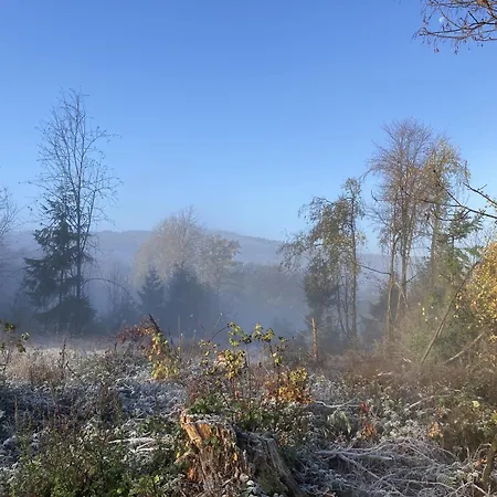 Gittas Paradiesperle *