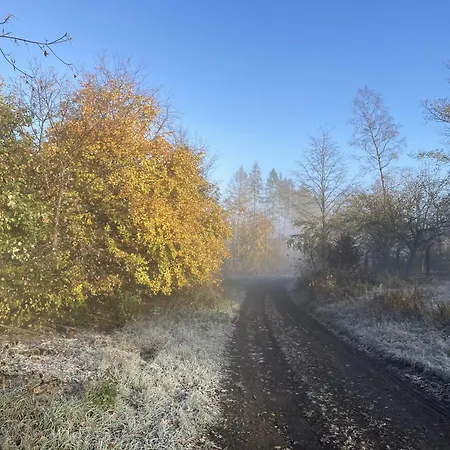 Gittas Paradiesperle Niederdreisbach