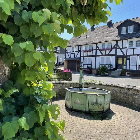 Gittas Paradiesperle Apartament Niederdreisbach