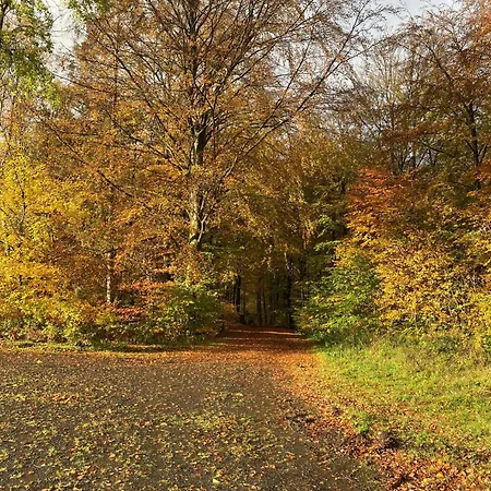 Gittas Paradiesperle Daire
