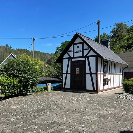 Daire Gittas Paradiesperle Niederdreisbach