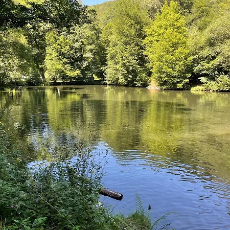 Apartament Gittas Paradiesperle Niederdreisbach