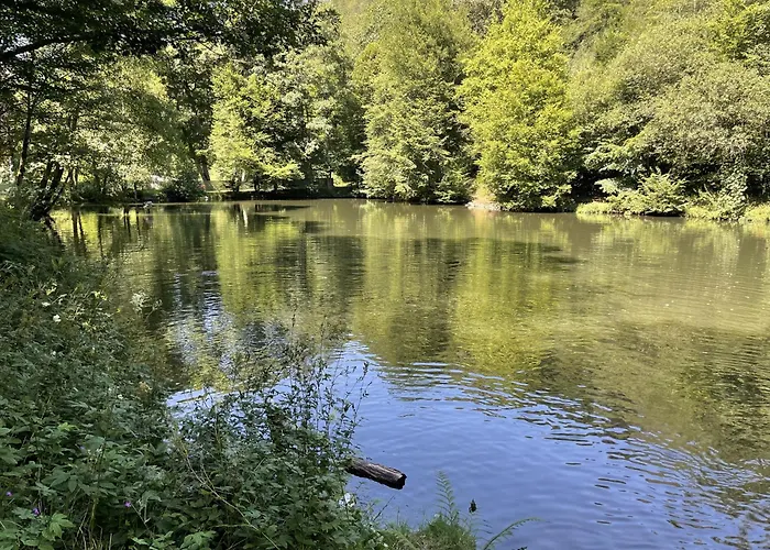 Gittas Paradiesperle Niederdreisbach