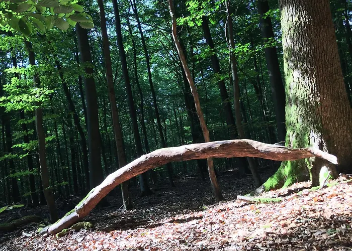 Gittas Paradiesperle דירה Niederdreisbach