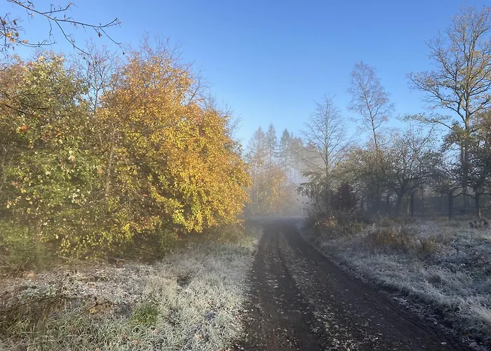 Gittas Paradiesperle Niederdreisbach