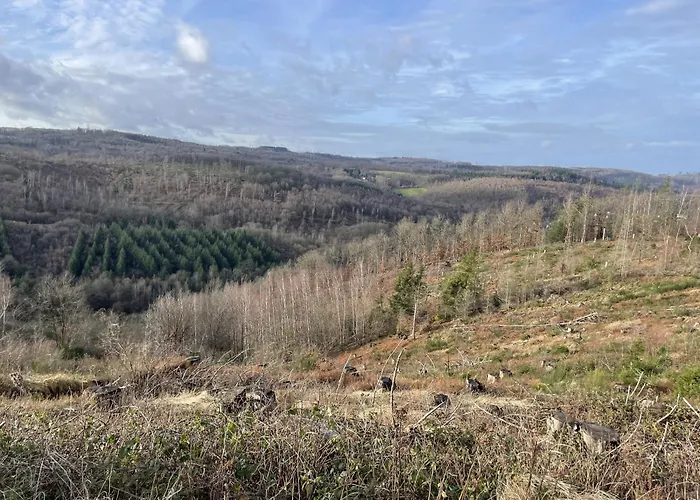 Gittas Paradiesperle דירה Niederdreisbach