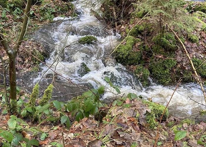 Gittas Paradiesperle *